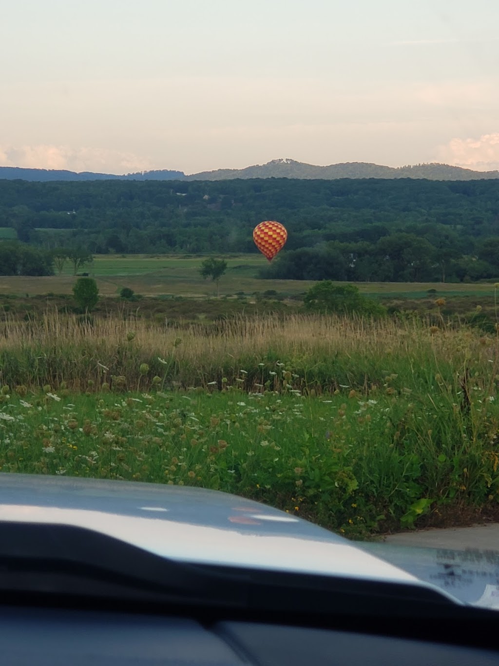 Alfred Z. Solomon Grassland Viewing Area | 160 County Rd 42, Fort Edward, NY 12828, USA | Phone: (518) 499-0012