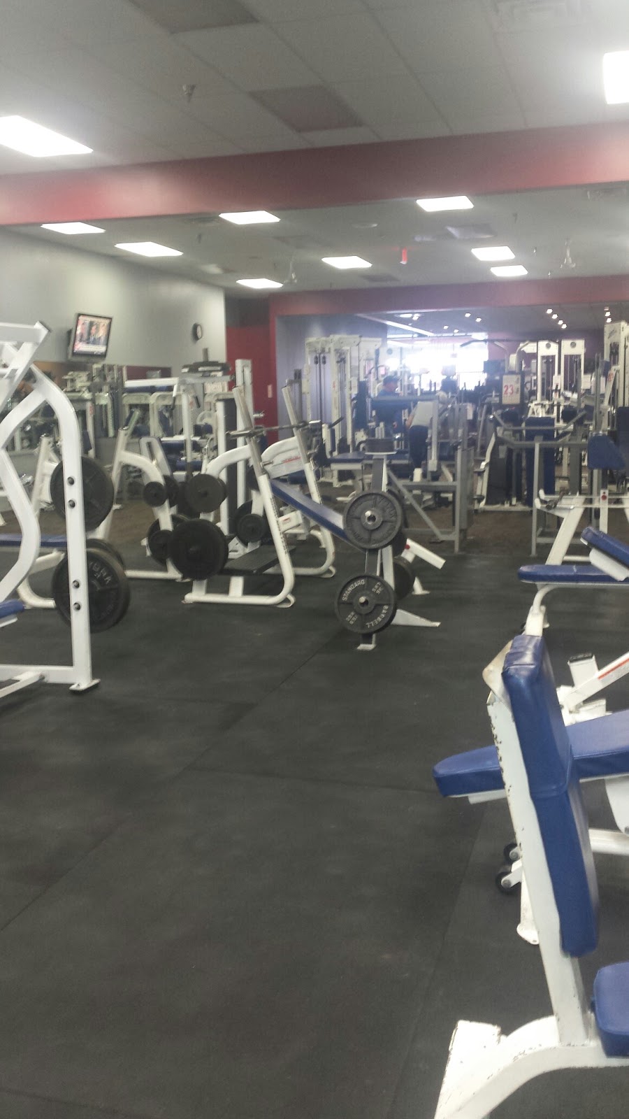 World Class Fitness Center | 5990 University Blvd #26, Coraopolis, PA 15108, USA | Phone: (412) 299-0770