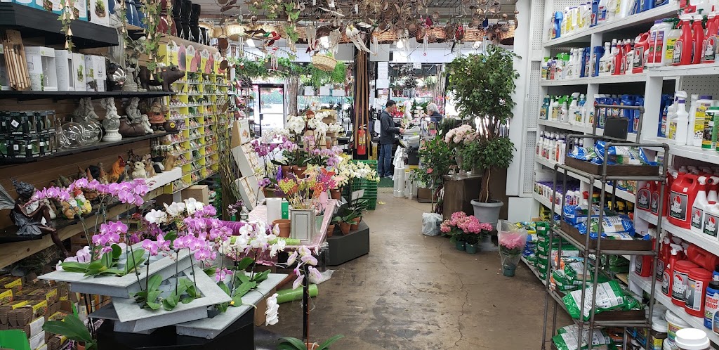 Metropolitan Plant and Flower Exchange | 840 Route 17N, Paramus, NJ 07652, USA | Phone: (201) 445-7101