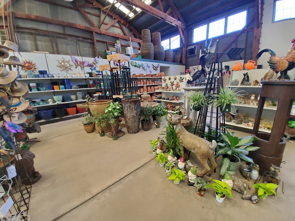 Cagliero Ranch Nursery | 2700 W Devonshire Ave, Hemet, CA 92545, USA | Phone: (951) 766-7755