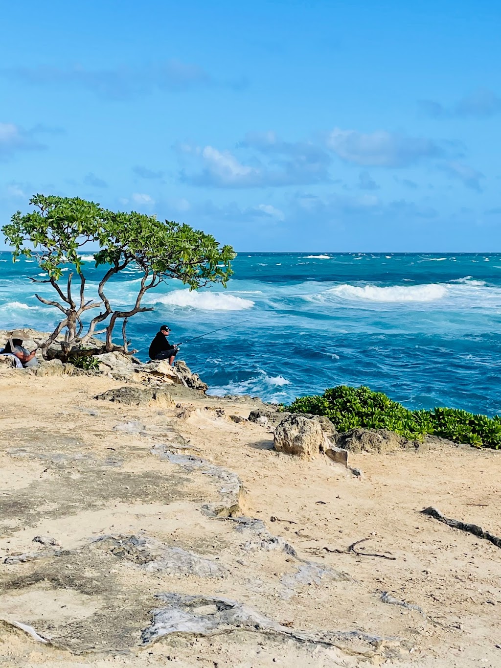 Lāʻie Point State Wayside | End of Naupaka Street, HI-83, Laie, HI 96762, USA | Phone: (808) 587-0300