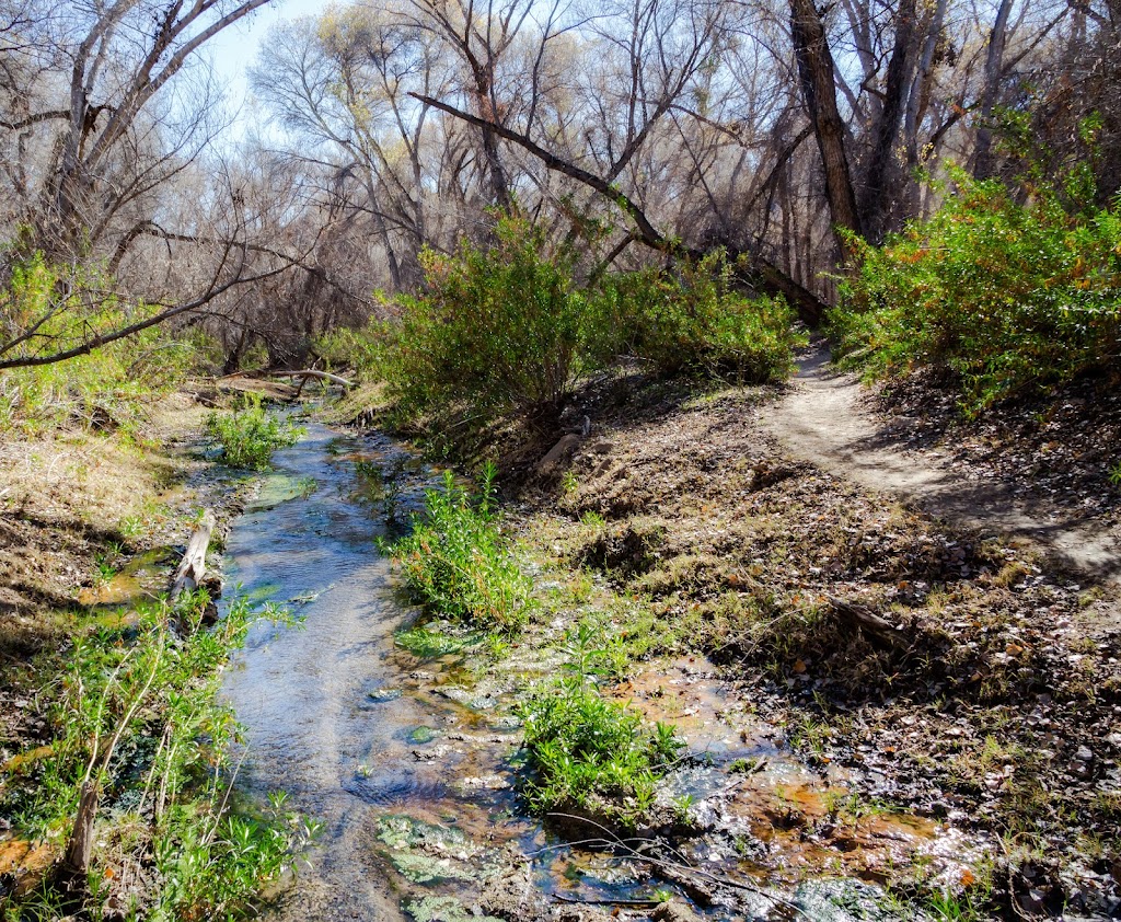 Hassayampa River Preserve Nature Center | 49614 U.S. Hwy 60 89, Wickenburg, AZ 85390, USA | Phone: (928) 684-2772