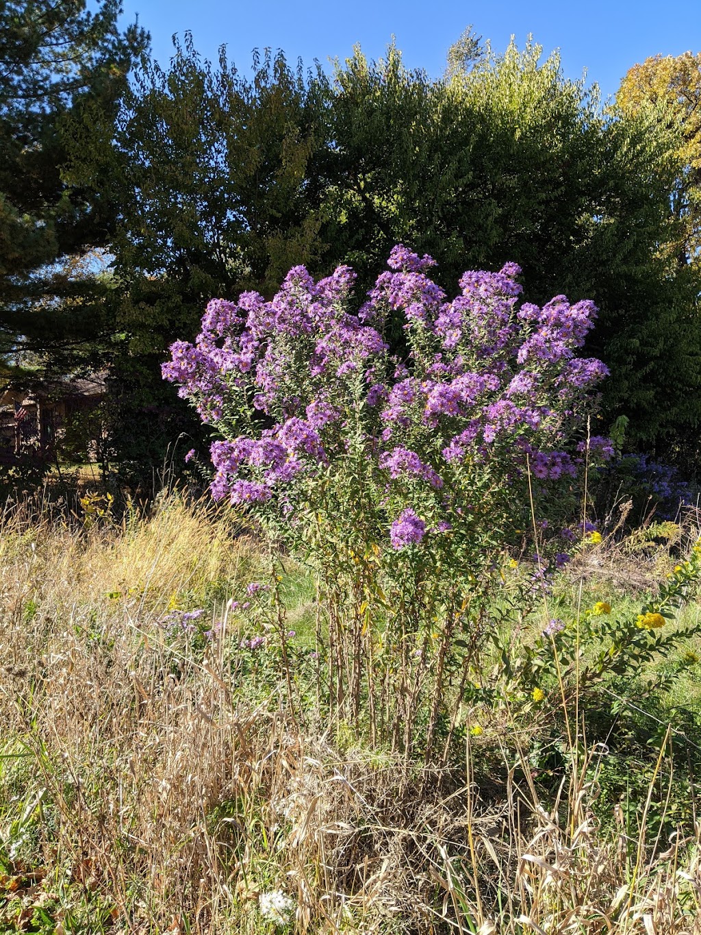 Strickers Pond Conservation Park | 7214 Longmeadow Rd, Madison, WI 53717, USA | Phone: (608) 266-4711