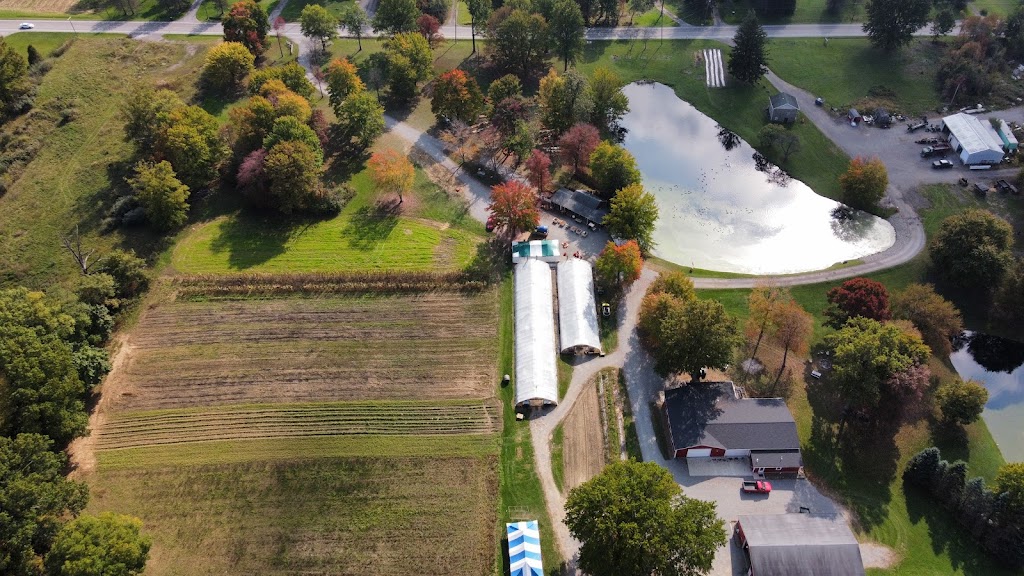 Countryside Farm Barn Venue | 4684 Center Rd, Lowellville, OH 44436, USA | Phone: (330) 536-2178