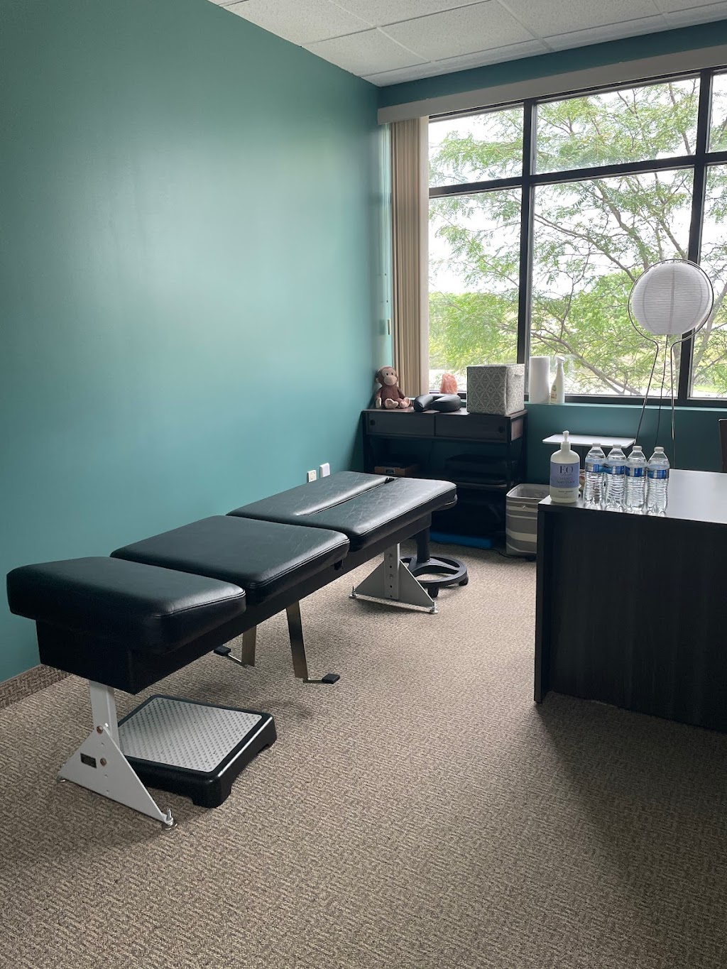 Delightful Chiropractic | 8170 Old Carriage Ct #246, Shakopee, MN 55379, USA | Phone: (952) 402-9355