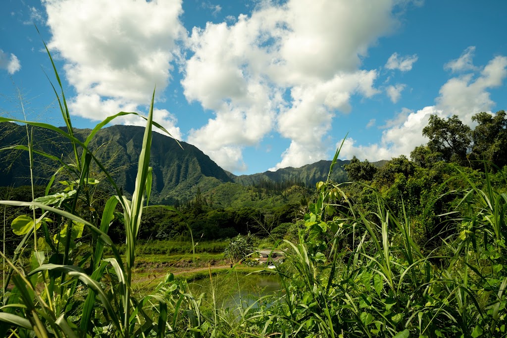 Senator Fongs Plantation | 47-285 Pulama Rd, Kaneohe, HI 96744, USA | Phone: (808) 239-6775