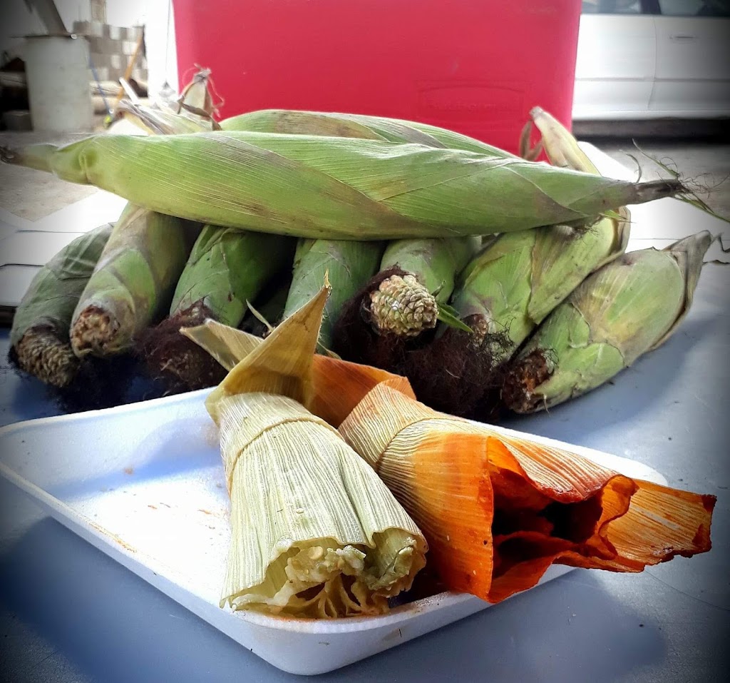 Tamales el Gallo | Carretera libre Tijuana, Escenica Ensenada - Tijuana Km58, Alisitos, 22746 Rosarito, B.C., Mexico | Phone: 661 124 9998