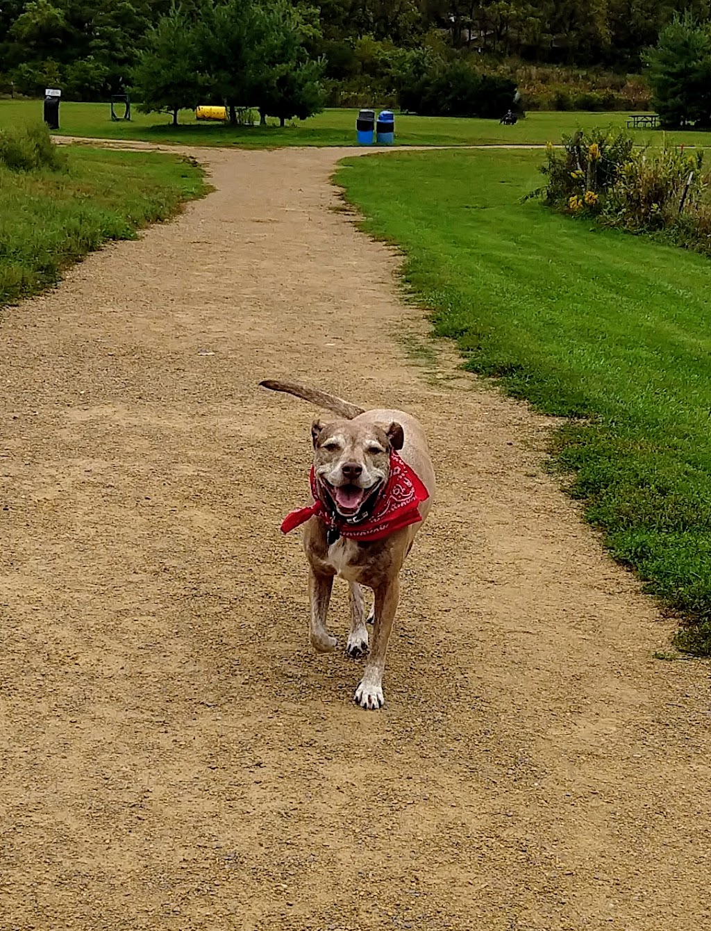 Badger Prairie Dog Park | Verona, WI 53593, USA | Phone: (608) 288-6164