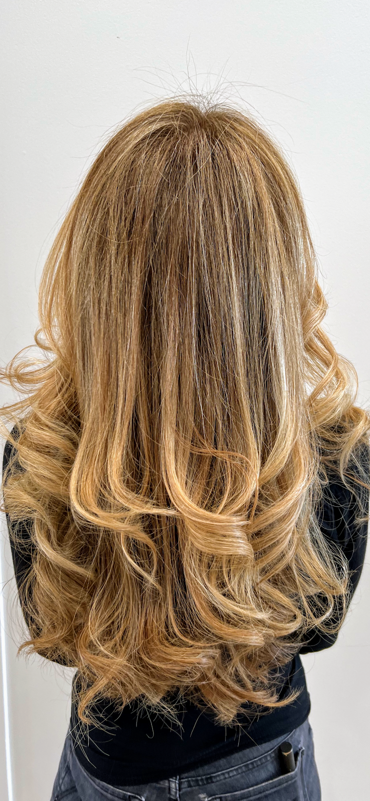Boulevard Hair Salon | 1372 Old Northern Blvd, Roslyn, NY 11576, USA | Phone: (516) 407-3230