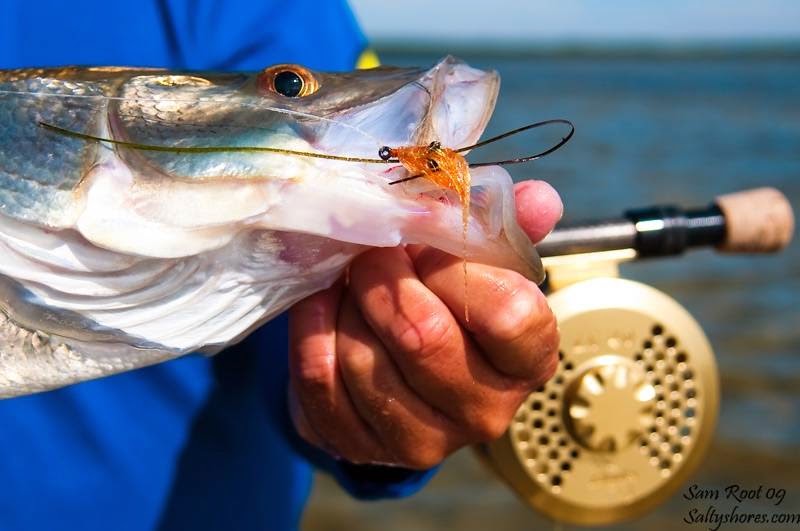 Tampa Fishing Charters - Fly fishing Tampa | W Courtney Campbell Causeway, Tampa, FL 33607, USA | Phone: (813) 419-2341