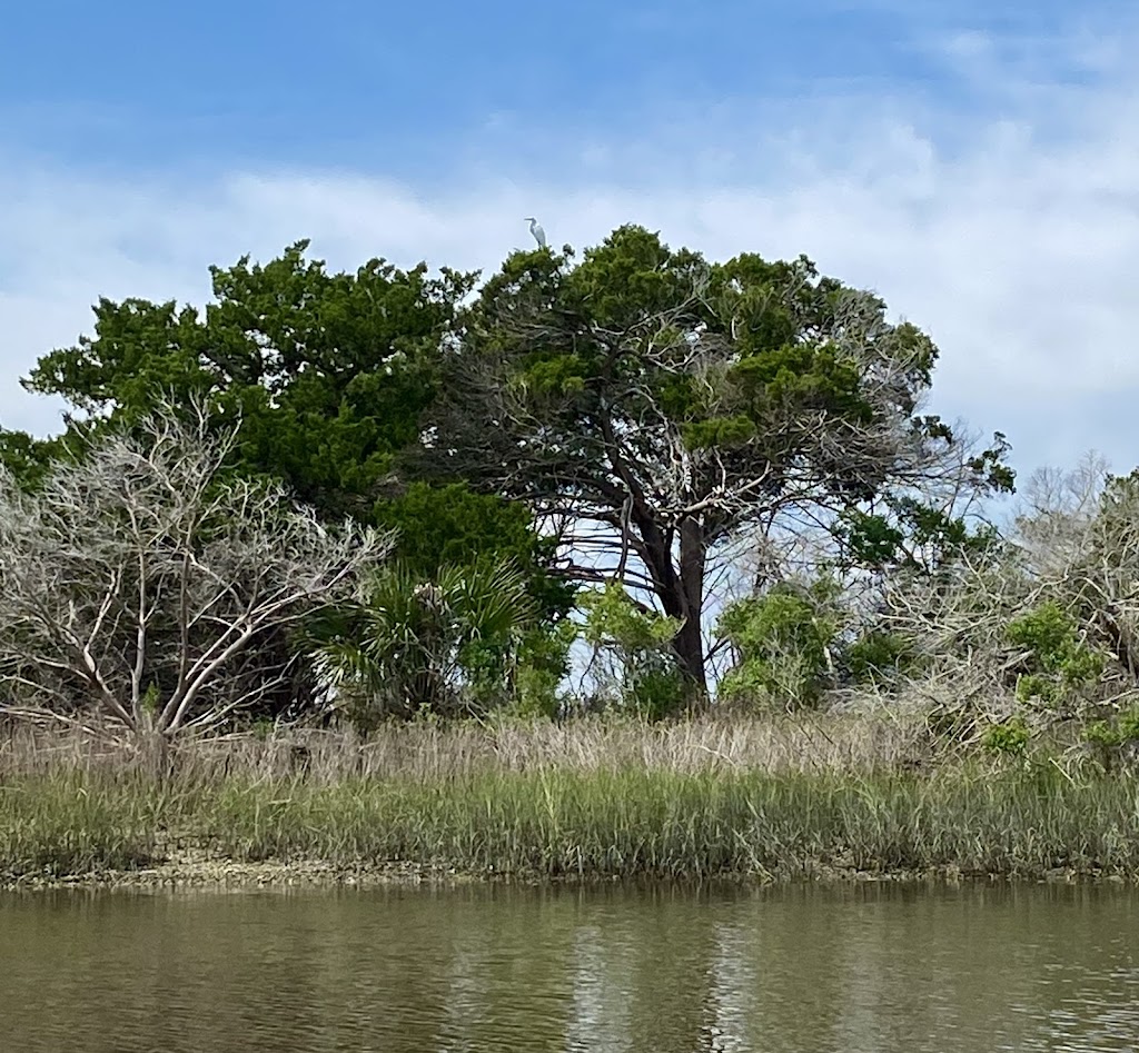 Airboat Rides Near Me/Crazy Fish Airboat Tours | 4852 Ocean St, Atlantic Beach, FL 32233, USA | Phone: (904) 495-4200