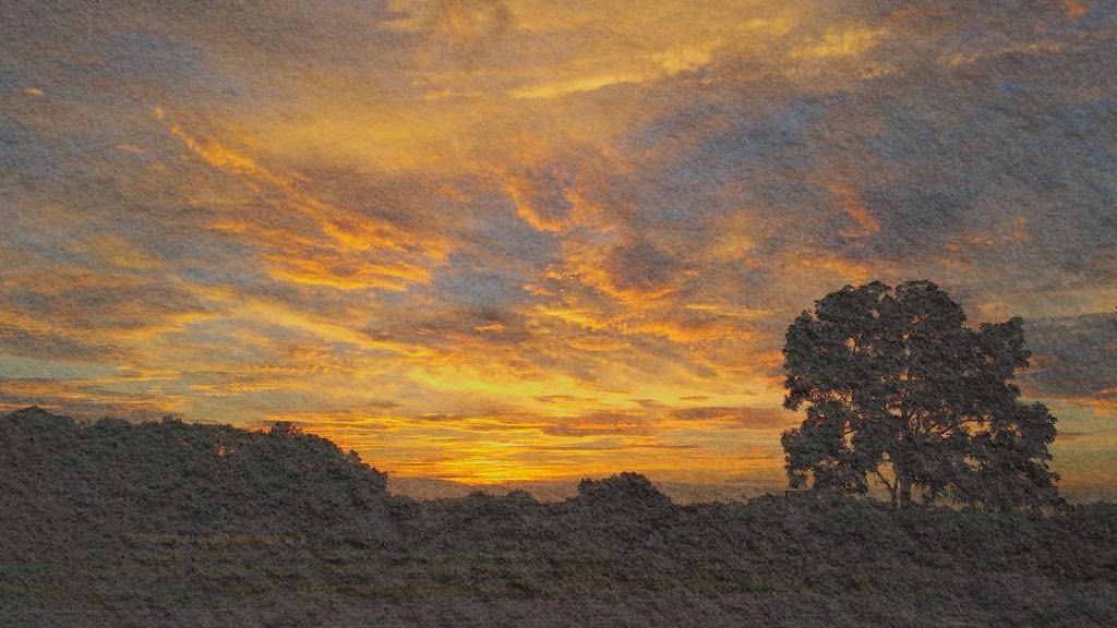 Polo Field | 6050 Majors Rd, Cumming, GA 30040, USA | Phone: (844) 468-6832