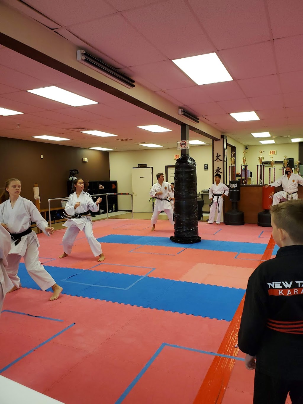 Keiko Shin Karate Academy | 3753 Bruce B Downs Blvd, Wesley Chapel, FL 33544, USA | Phone: (813) 994-9253