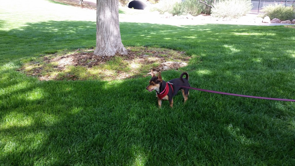 Puccini Park | 1899 Seven Hills Dr, Henderson, NV 89052, USA | Phone: (702) 267-5817