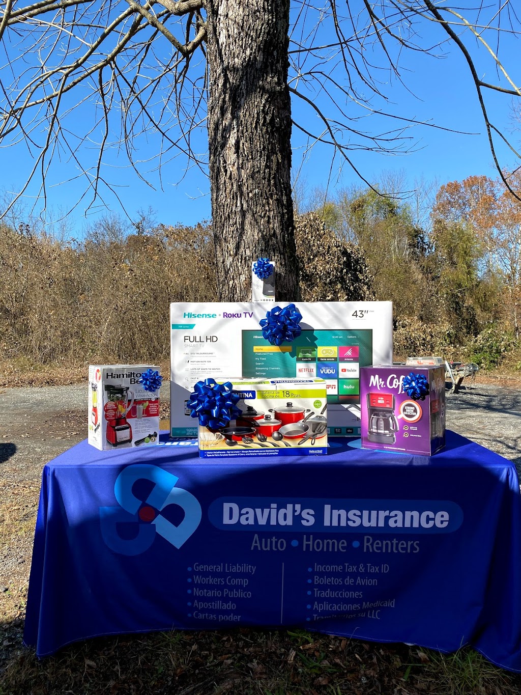 Davids Insurance | 351 Marietta Rd, Canton, GA 30114, USA | Phone: (770) 639-8921