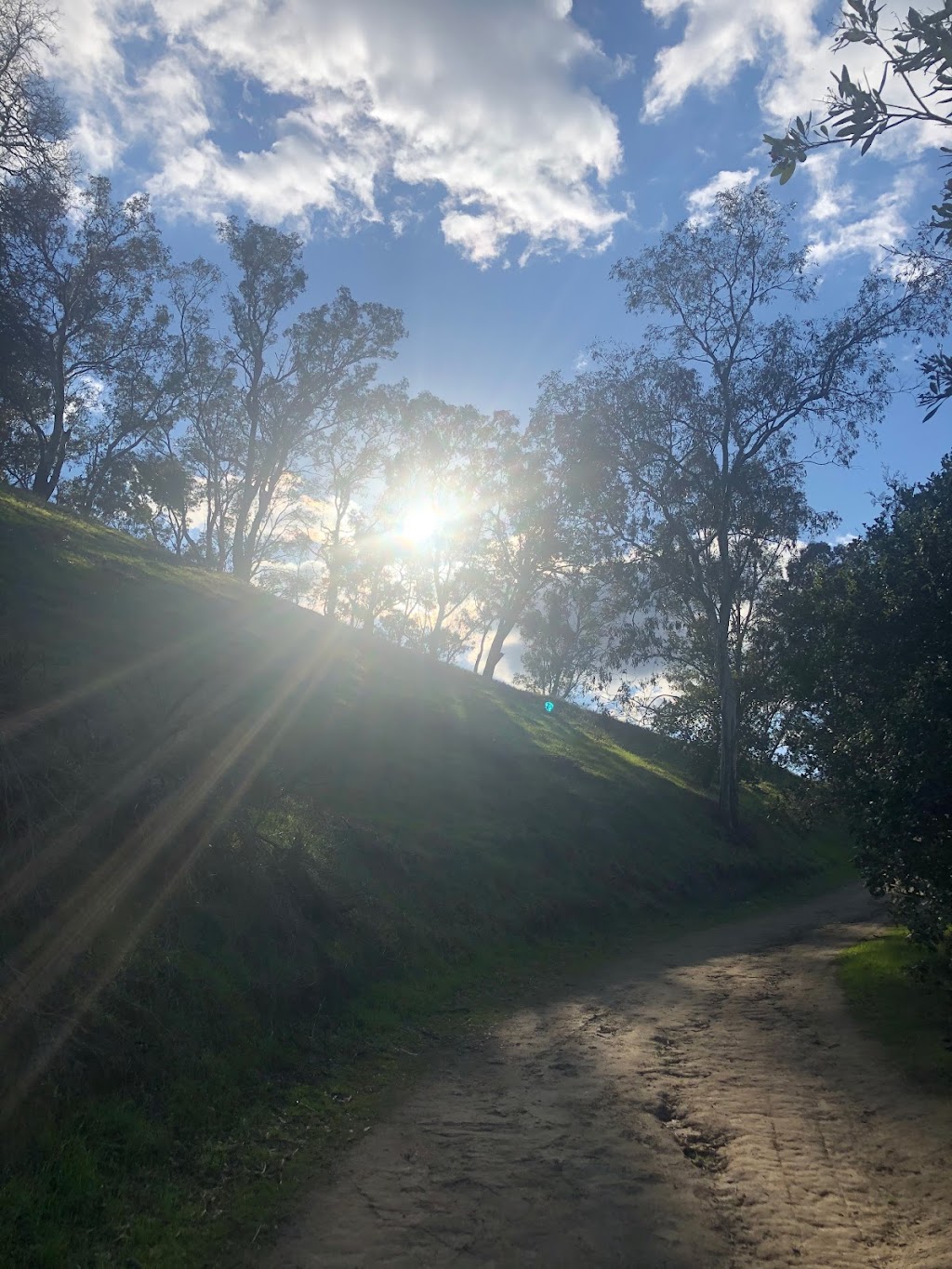 Acalanes Ridge Open Space Acalanes South Trail | 1215 Bacon Way, Lafayette, CA 94549, USA | Phone: (925) 943-8554