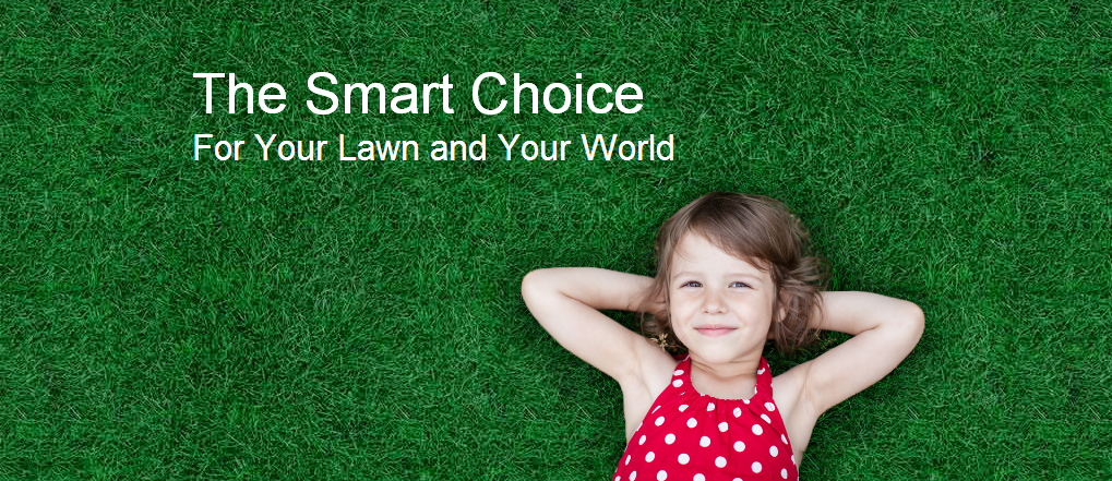 NexGreen, Green T Lawn Care | 5415 Yukon Ct St E, Frederick, MD 21703, USA | Phone: (301) 712-9999