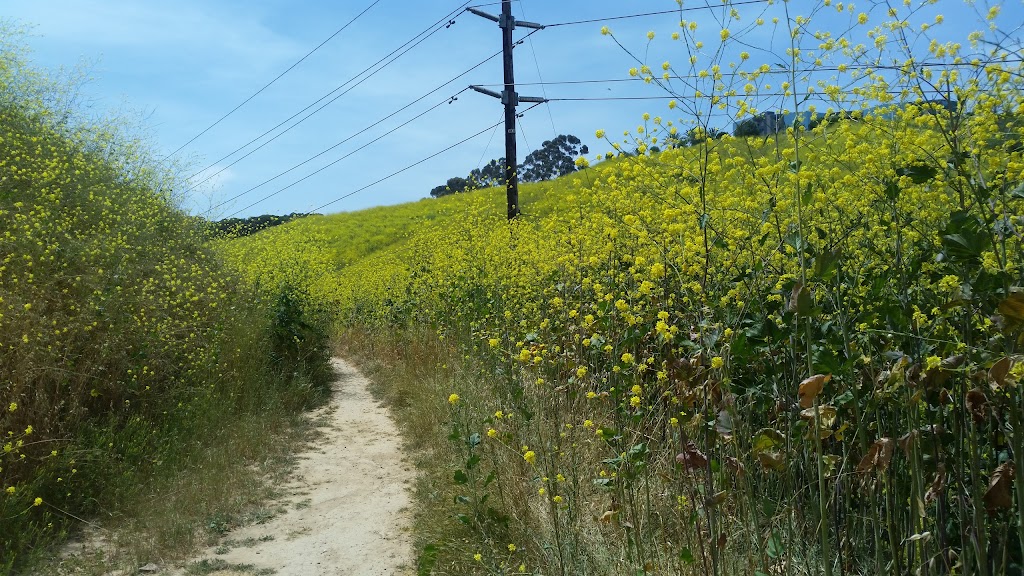 Lopez-Penasquitos canyon confluence | San Diego, CA 92121, USA | Phone: (619) 525-8213