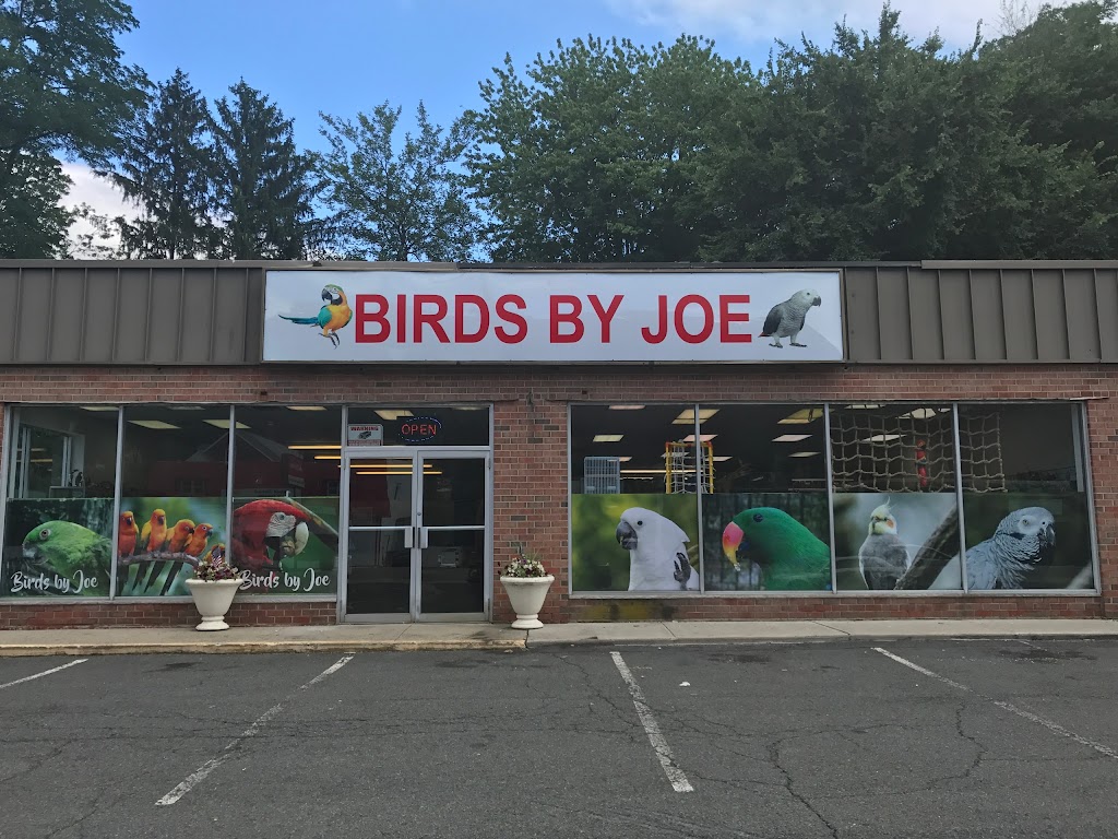 Birds By Joe | 265 US-22, Green Brook Township, NJ 08812, USA | Phone: (732) 764-2473