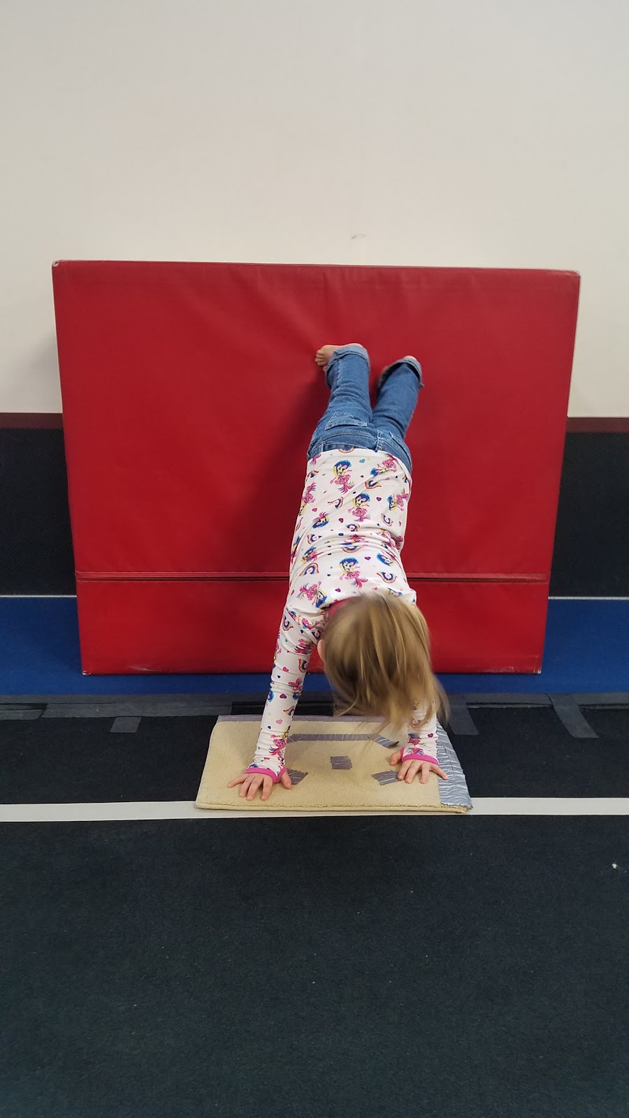 Zero Gravity Gymnastics Center | 6119 1st St, Newfane, NY 14108, USA | Phone: (716) 778-7100