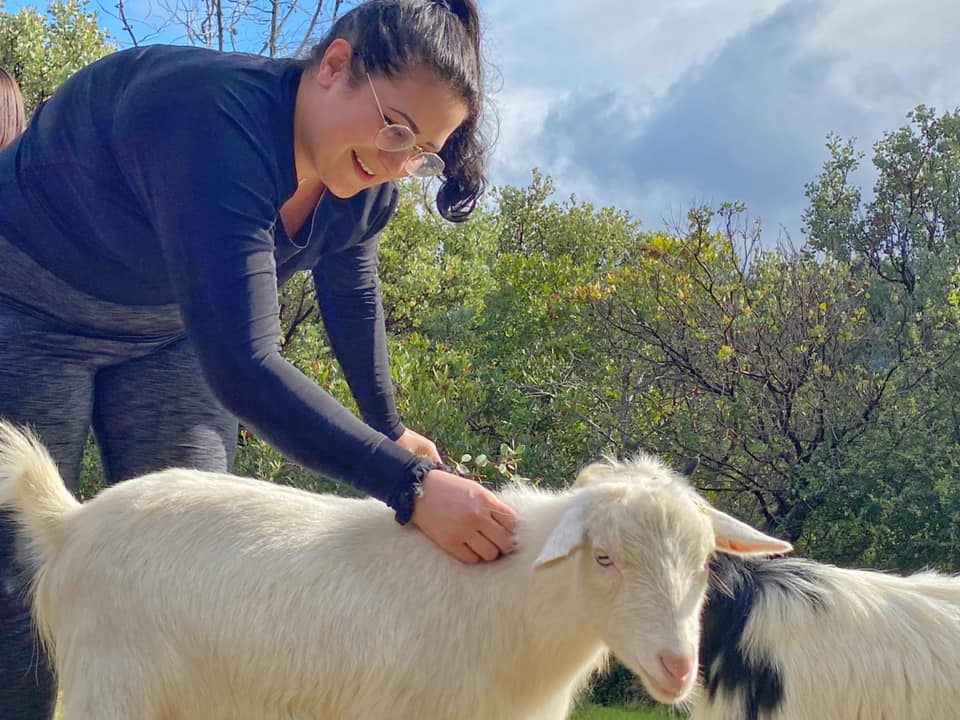 Original Goat Yoga- SF BAY CA | 880 Summit Rd, Watsonville, CA 95076 | Phone: (888) 992-4628