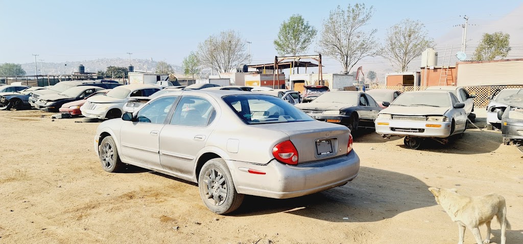 Yonke Cora | Rancho Tres Piedras, 22330 Rancho 3 Piedras, B.C., Mexico | Phone: 664 325 3358 Yonke Cora | Rancho Tres Piedras, 22330 Rancho 3 Piedras, B.C., Mexico | Phone: 664 325 3358