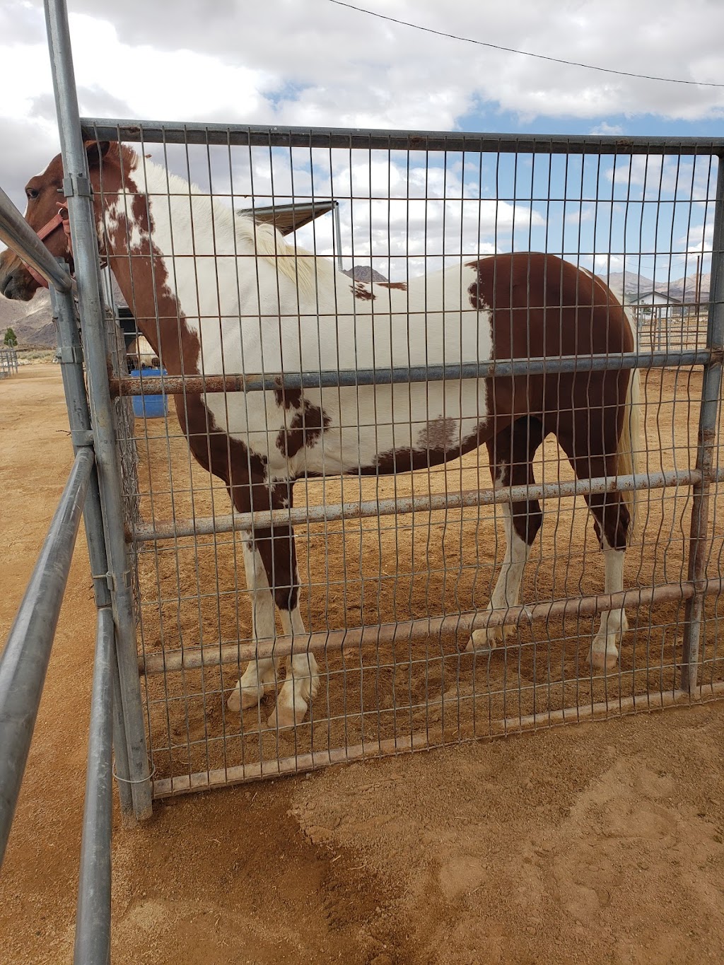 The Rivers Edge Ranch | 33433 Haynes Rd, Lucerne Valley, CA 92356, USA | Phone: (760) 686-4409