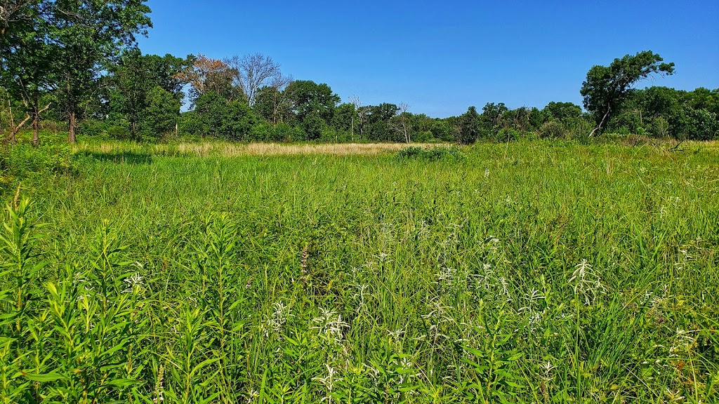 Pine Island Savanna State Natural Area | Levee Rd, Baraboo, WI 53913, USA | Phone: (888) 936-7463