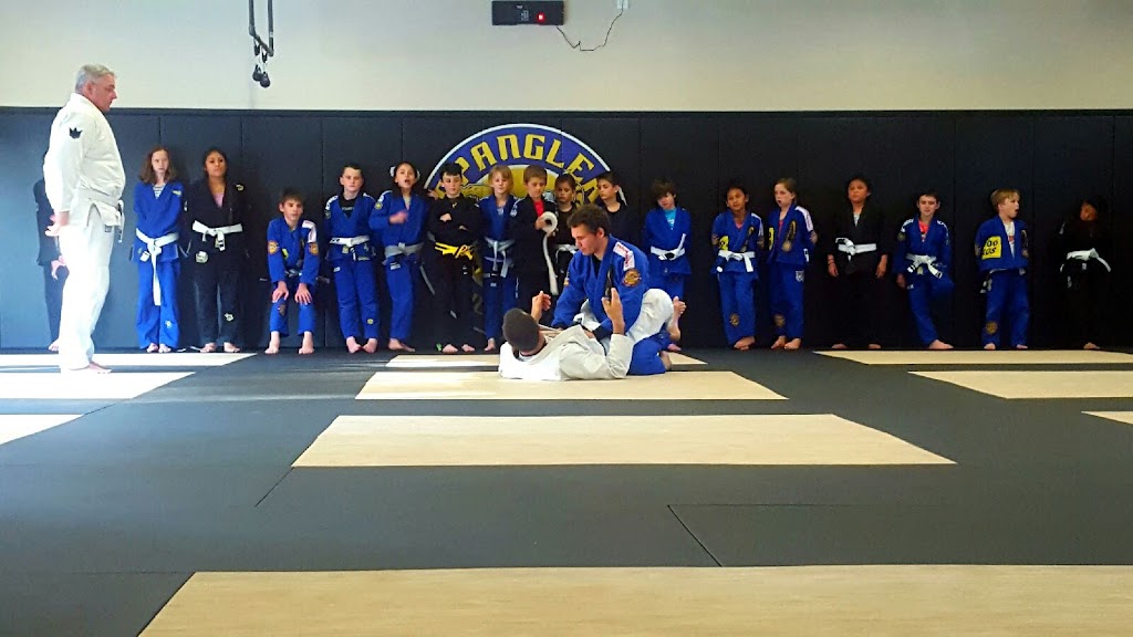 Jiu Jitsu Performance Academy | 526 E Williams St, Apex, NC 27502, USA | Phone: (919) 753-6536