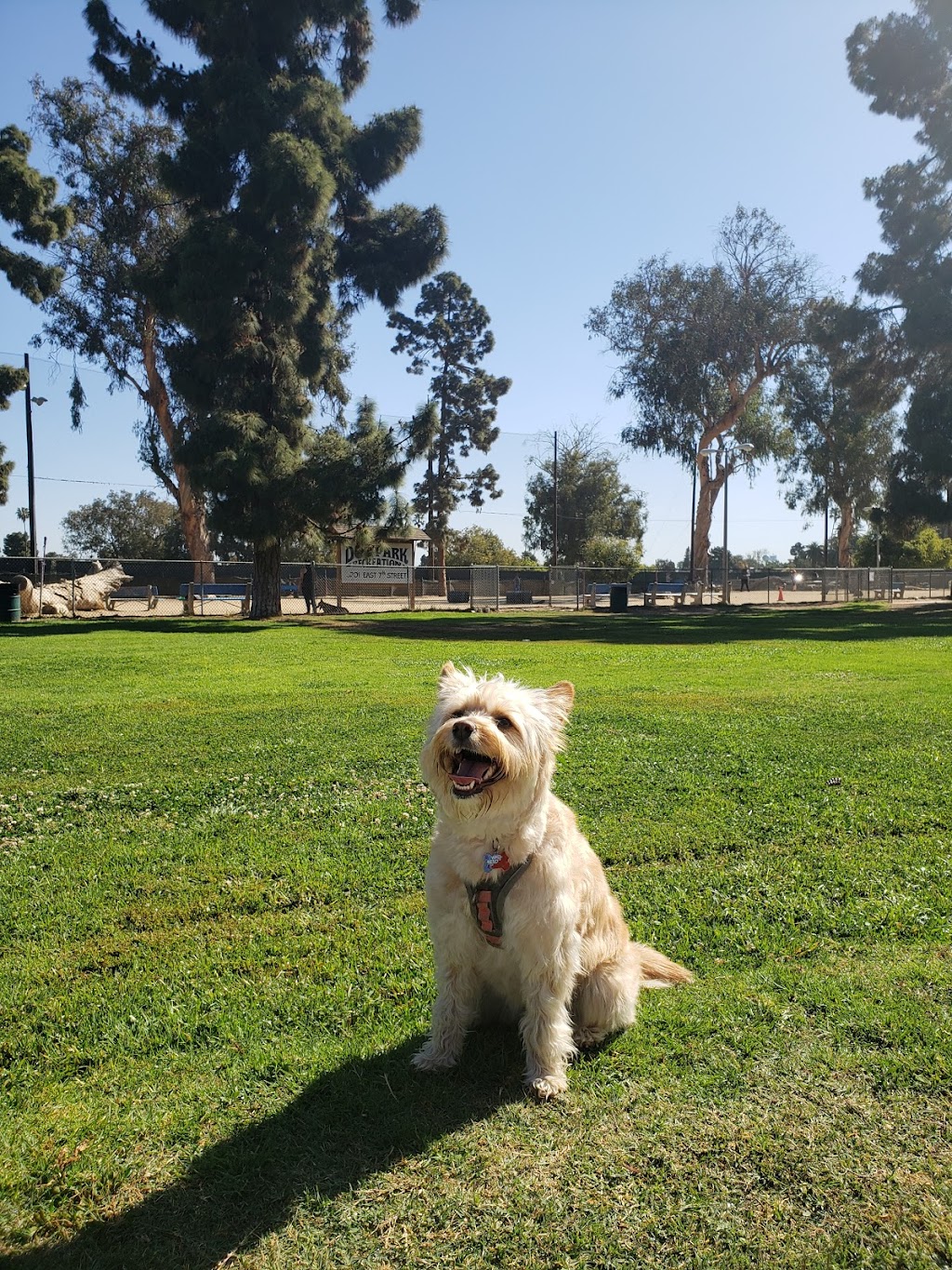 Recreation Dog Park | 5201 E 7th St, Long Beach, CA 90804, USA | Phone: (562) 570-7387