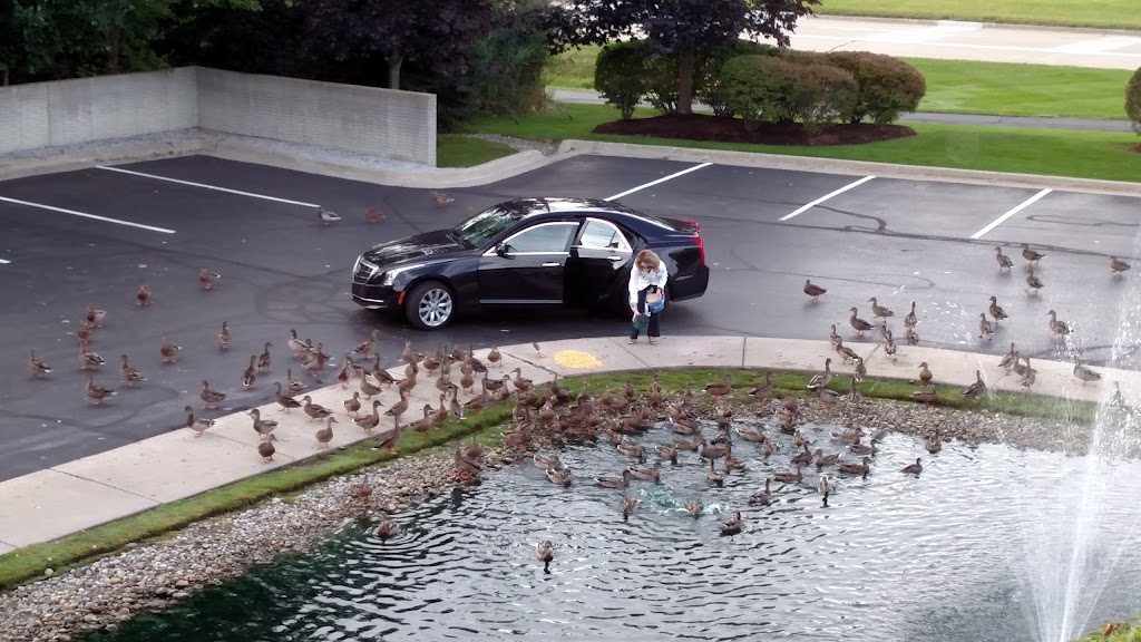 Gallo Companies | 6303 26 Mile Rd 2nd Floor, Washington, MI 48094, USA | Phone: (586) 786-7600