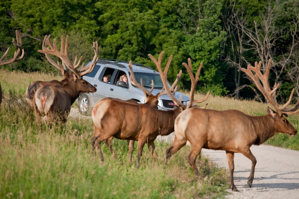 Wildlife Safari Park | 16406 292nd St, Ashland, NE 68003, USA | Phone: (402) 944-9453