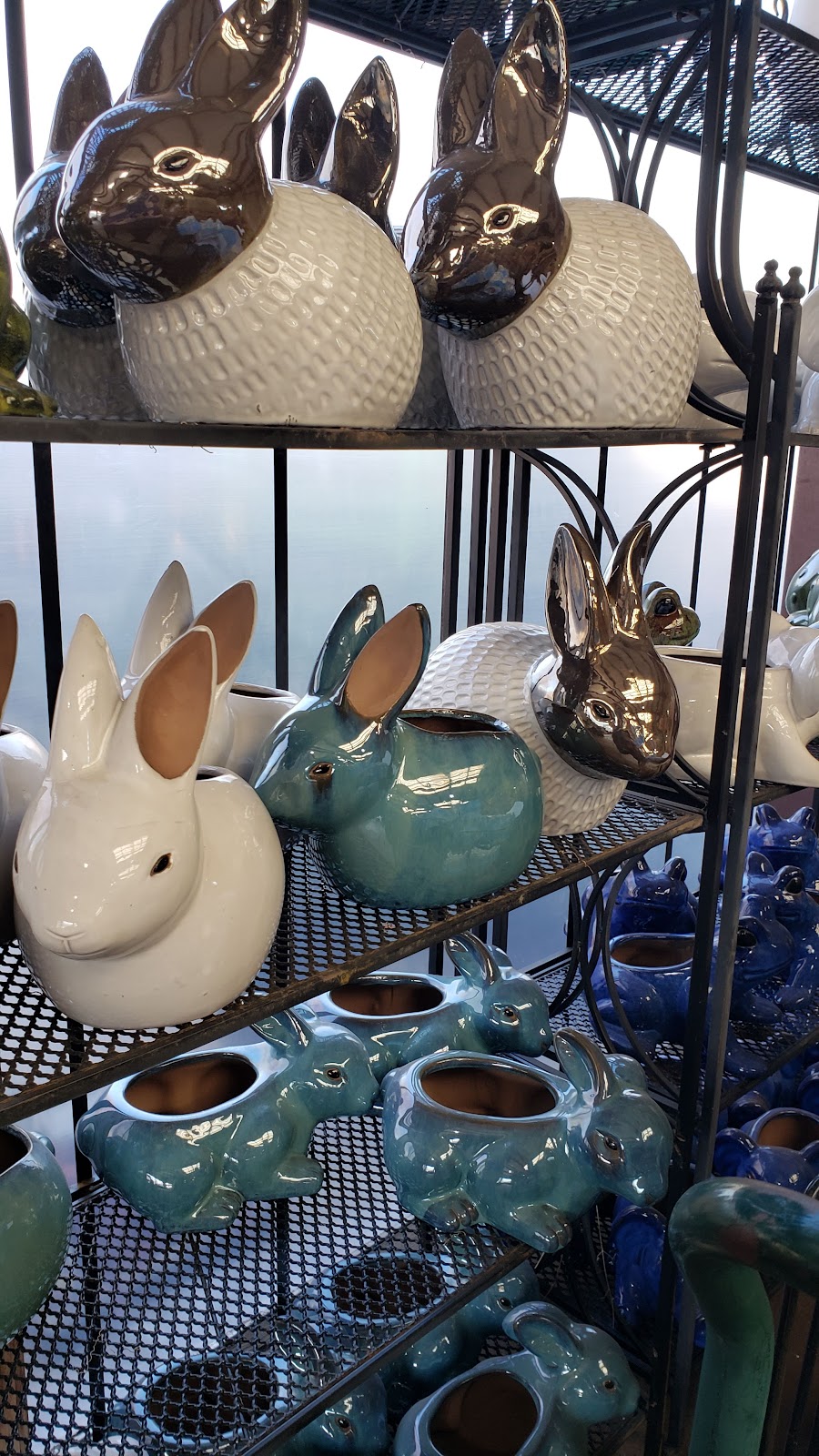 Calloways Nursery | 1601 Dallas Dr, Denton, TX 76205, USA | Phone: (940) 591-8865