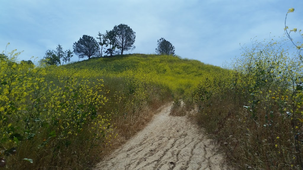 Lopez-Penasquitos canyon confluence | San Diego, CA 92121, USA | Phone: (619) 525-8213