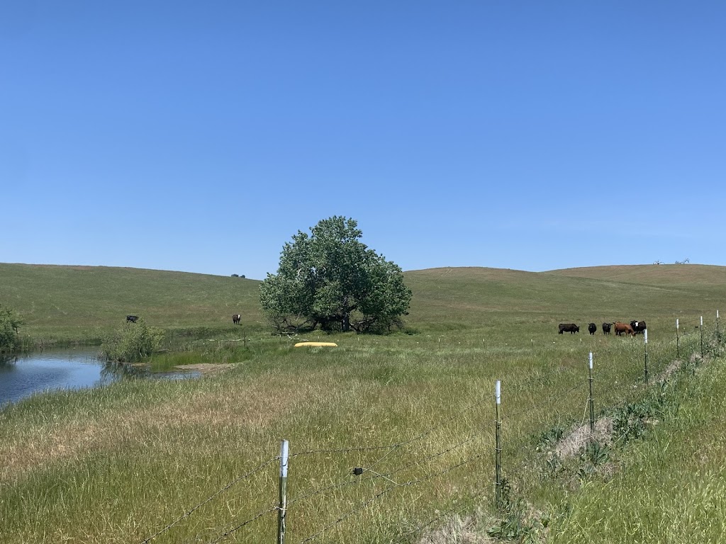 Mariposa Ranch - Grass Fed Beef | 3132 Spengler Way, Turlock, CA 95380, USA | Phone: (209) 262-8780