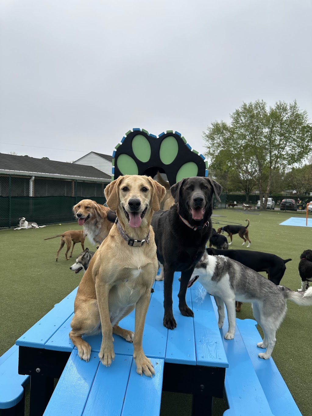 Sterling Meadows Trailer Sales | 3756 Indian River Rd, Virginia Beach, VA 23456, USA | Phone: (757) 471-2133