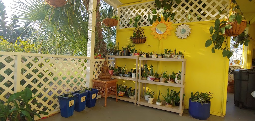 ArtbyCMac Studio and Succulent Nursery | 7506 17th Ave W, Bradenton, FL 34209, USA | Phone: (941) 757-7557