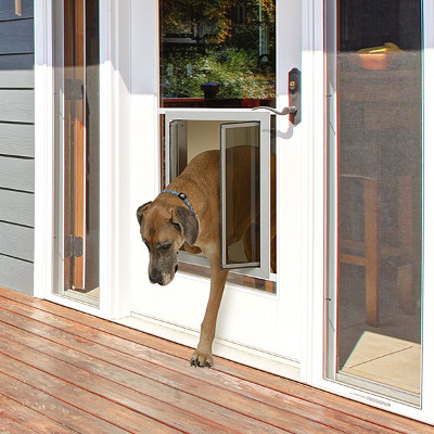 M&D Dog Doors & More | 1224 Executive Blvd suite101, Chesapeake, VA 23320, USA | Phone: (757) 504-4020
