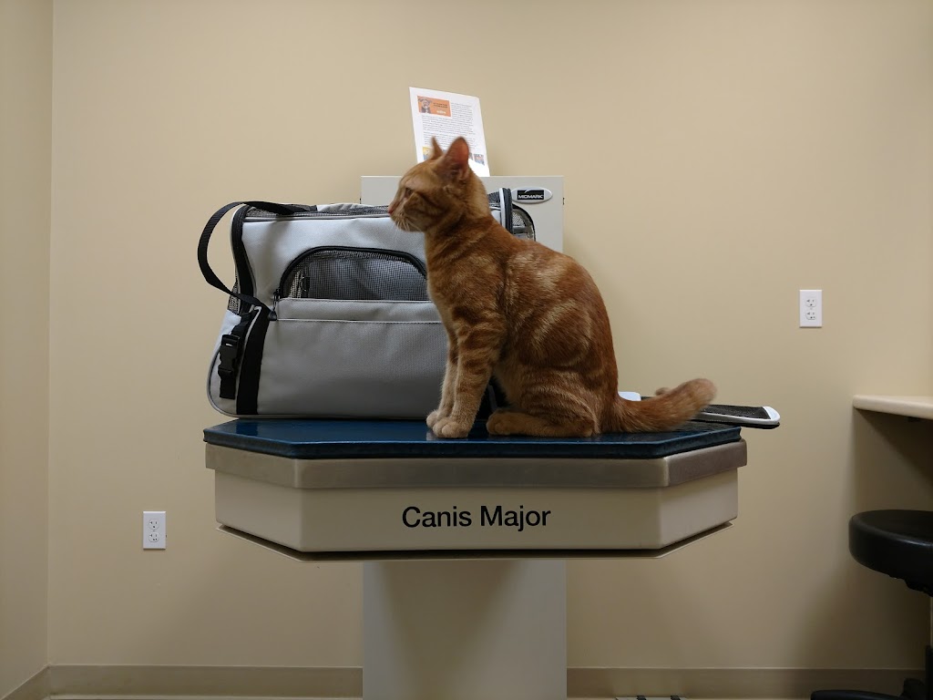 Butler Veterinary Hospital | 417 Main St, Butler, NJ 07405, USA | Phone: (973) 850-6300