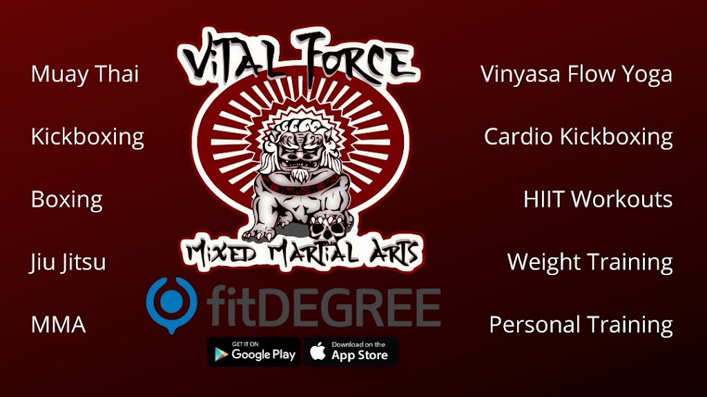 Vital Force Mixed Martial Arts & Fitness | 12632 Central Ave, Chino, CA 91710, USA | Phone: (657) 272-7178