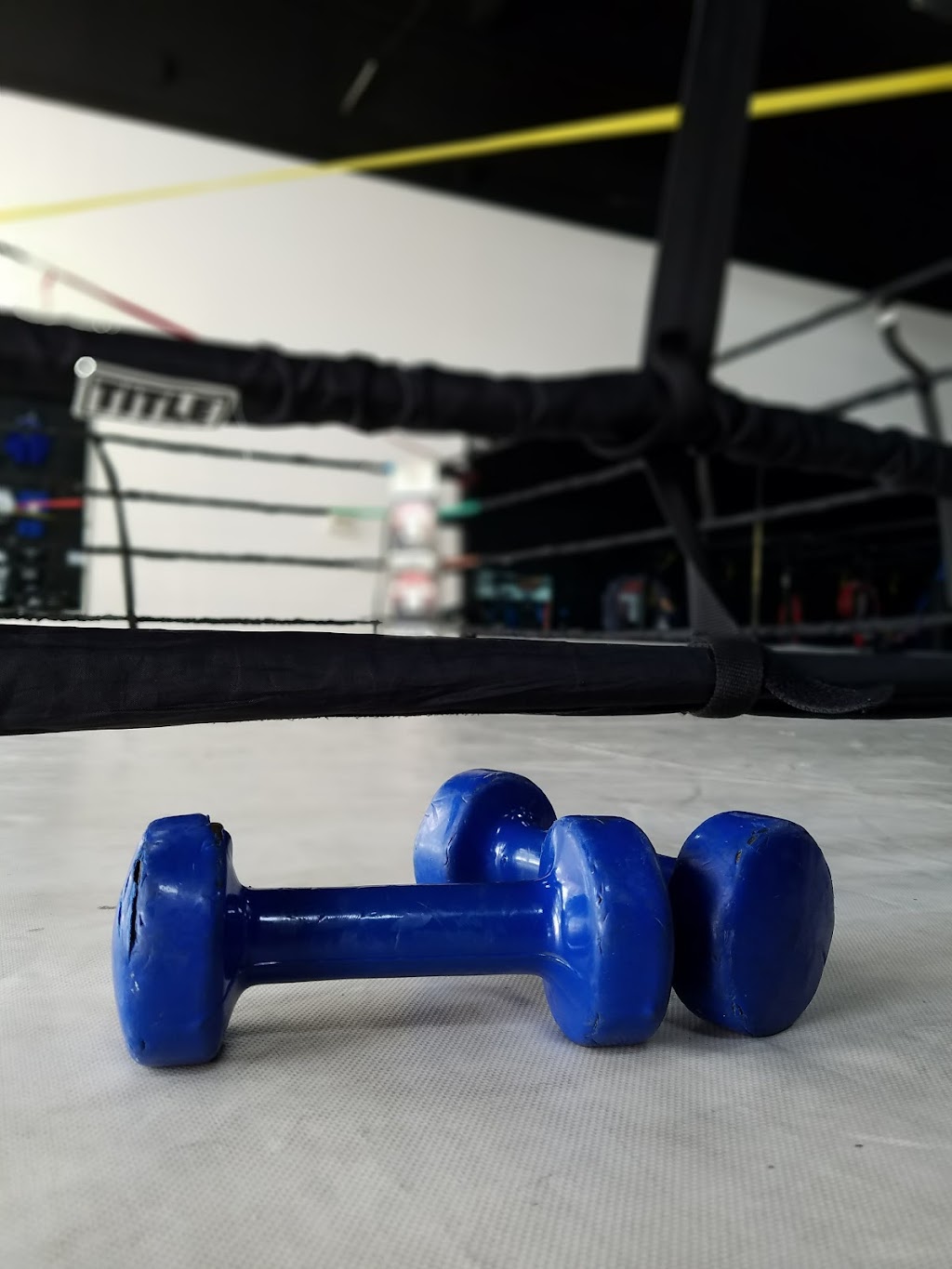 Total MMA Studios | 632 El Camino Real Suite A, Tustin, CA 92780, USA | Phone: (714) 368-3458
