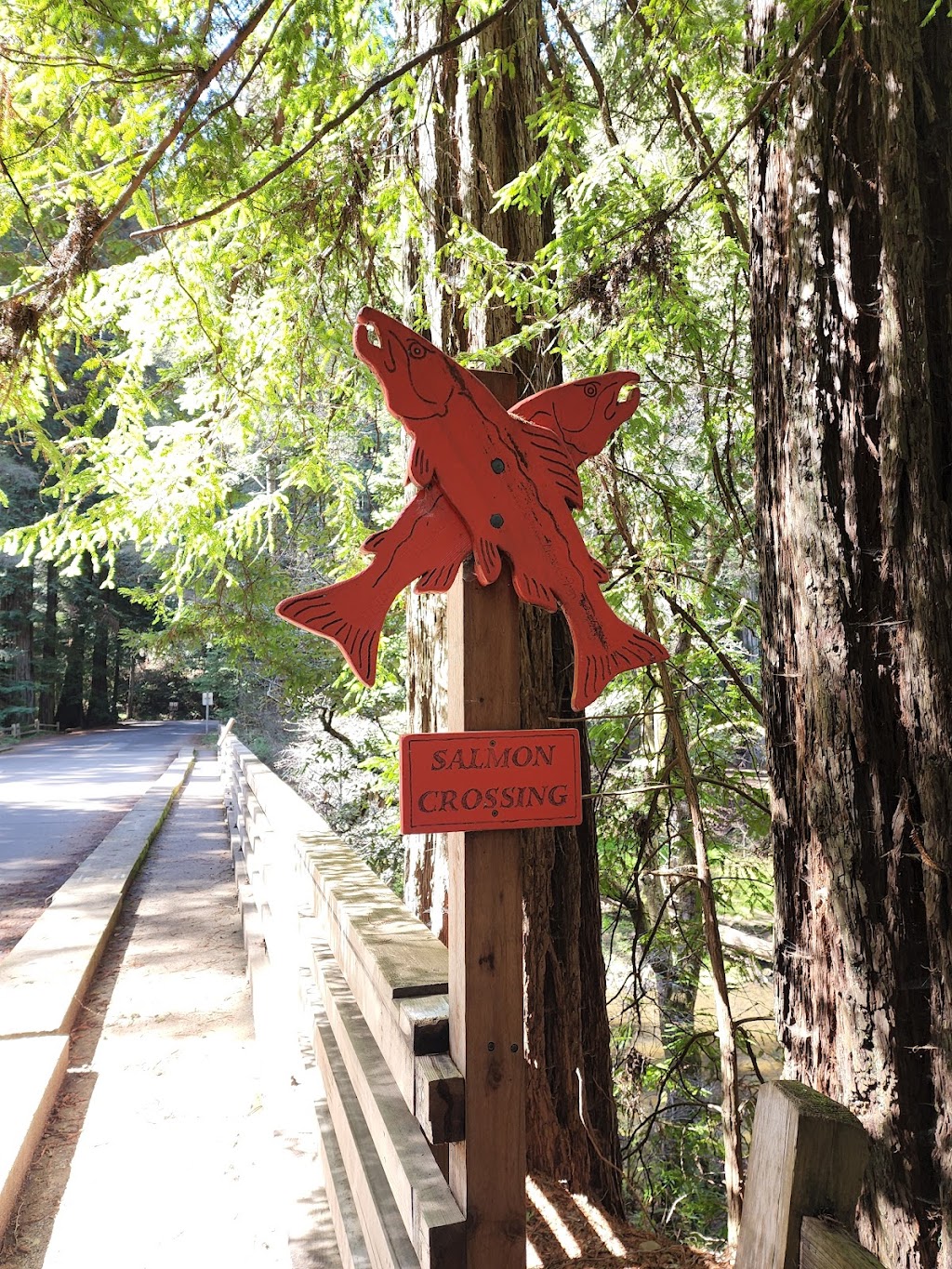 Creekside Loop Campground | 5 Taylor Park Rd, Lagunitas, CA 94938, USA | Phone: (415) 488-9897