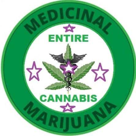 Entirecannabis | 1038 Alpine St, Los Angeles, CA 90012, USA | Phone: (415) 209-5293