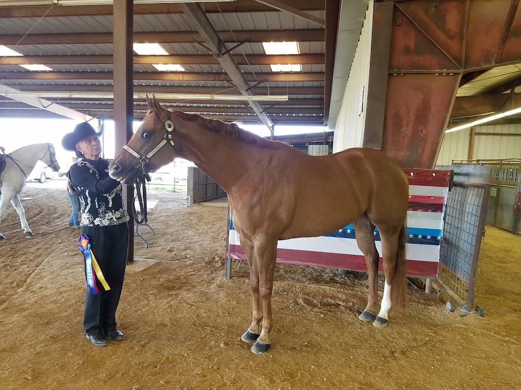 Tiger Stadium | 4001 FM744, Corsicana, TX 75110, USA | Phone: (903) 641-4027