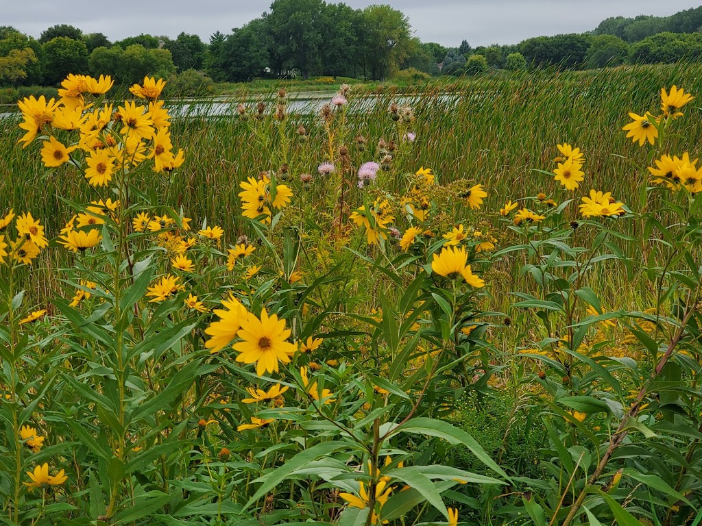 Sunset Pond | 3350 Burnsville Pkwy W, Burnsville, MN 55337, USA | Phone: (952) 895-4500