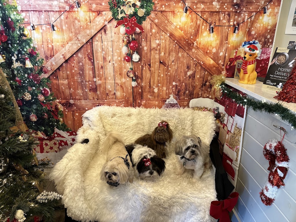 Kendall County Veterinary Center | 141 TX-46, Boerne, TX 78006, USA | Phone: (830) 336-2041