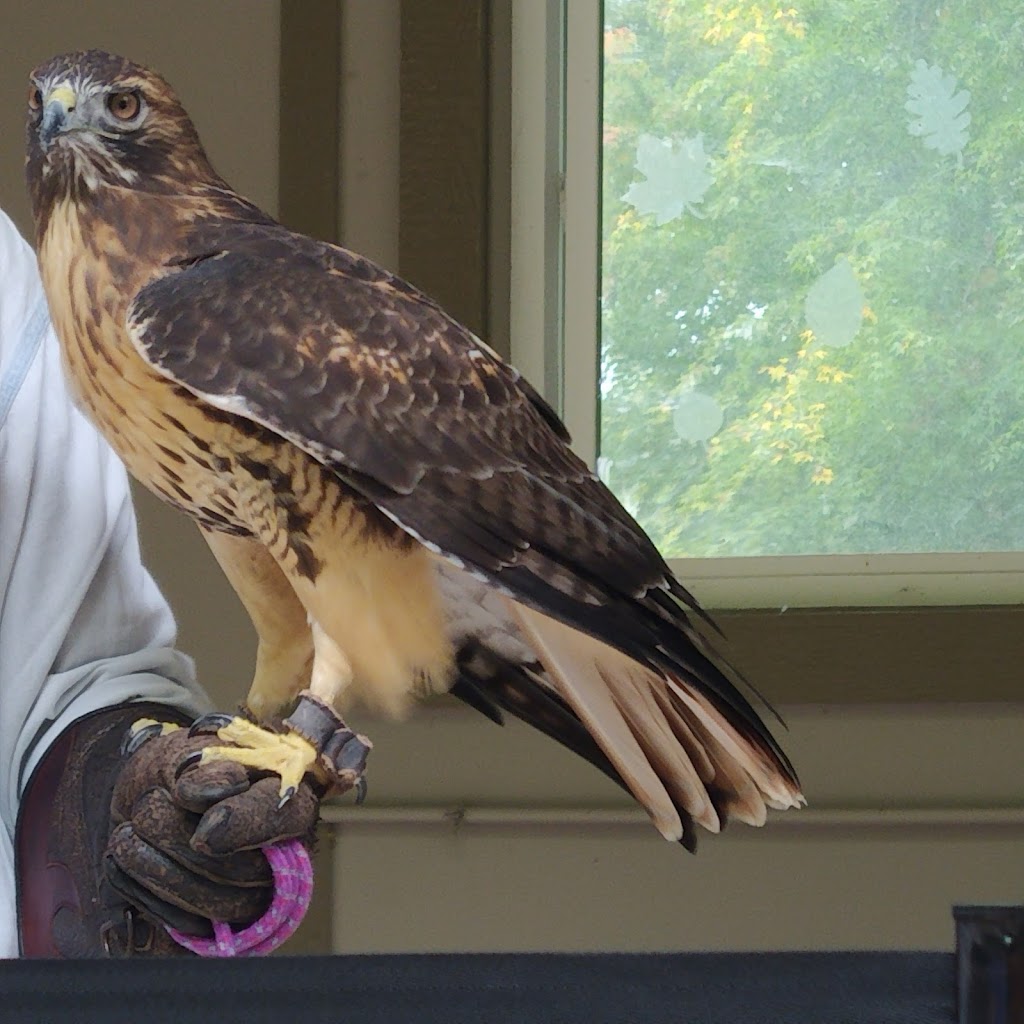 Lowry Nature Center | 7025 Victoria Dr, Victoria, MN 55386, USA | Phone: (763) 694-7650