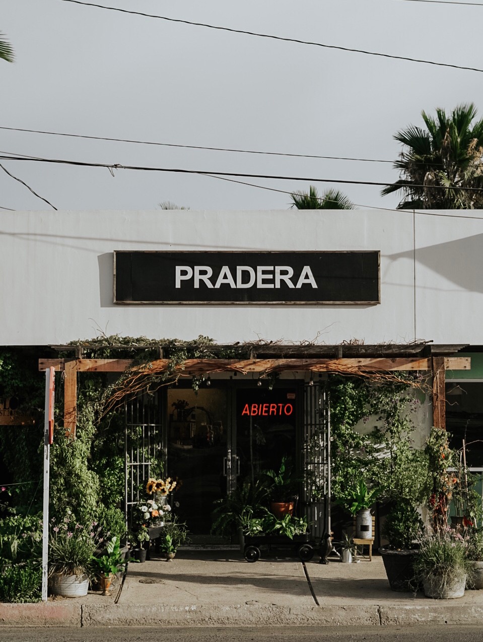 Pradera — Flores e Interior | Av Revolución 841, El Refugio, 21440 Tecate, B.C., Mexico | Phone: 665 122 3843