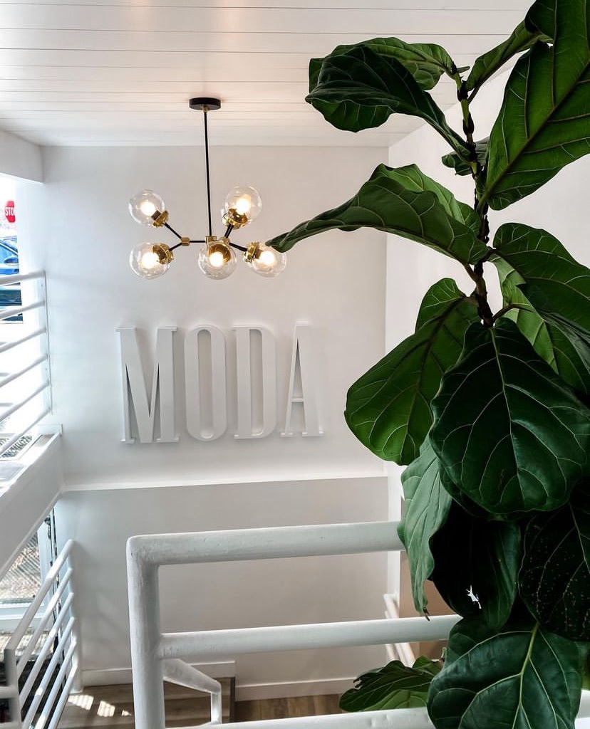 Moda | 499 Selby Ave, St Paul, MN 55102, USA | Phone: (651) 756-1909