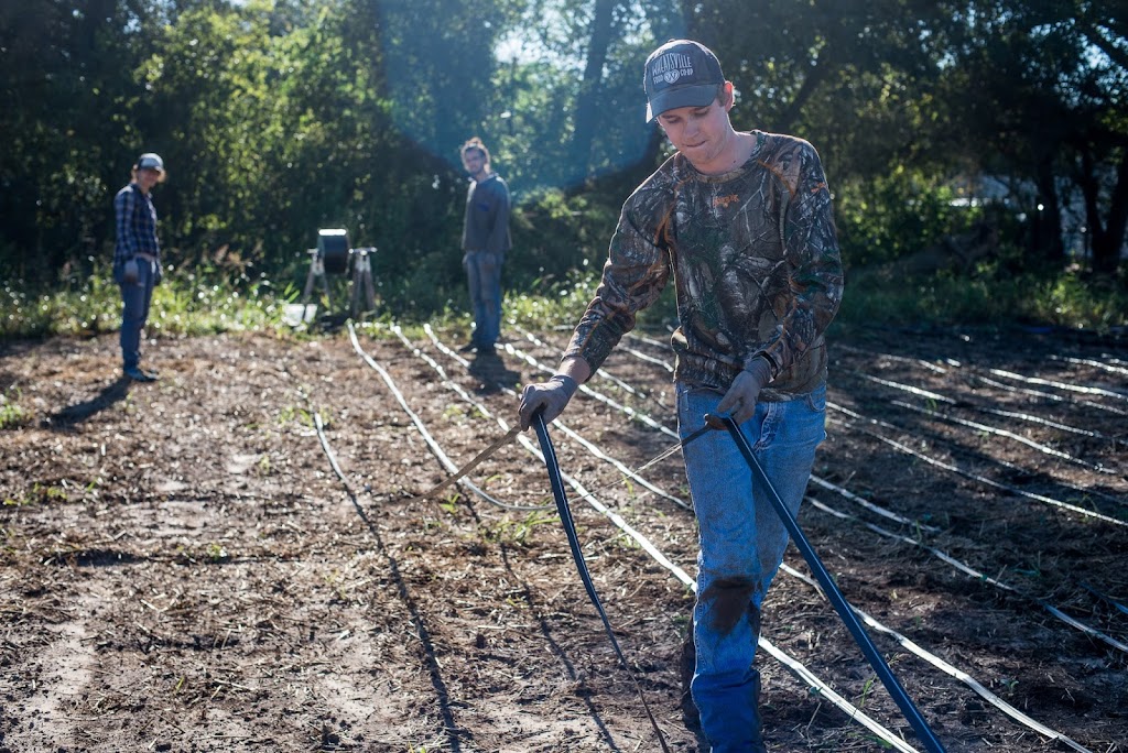 Farmshare Austin | 3608 River Rd, Cedar Creek, TX 78612, USA | Phone: (512) 410-0277